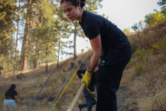 Tiona Waggoner smooths out the dirt on the trail during community building day in Whitworth University's back 40 Spokane Wash, Wednesday, sep. 28, 2022 | Photo by Timara Doyle/ The whitworthian|