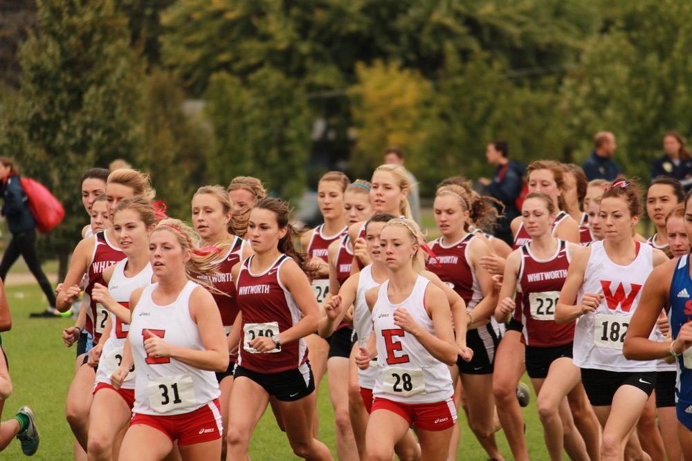 Cross country competes locally at Plantes Ferry