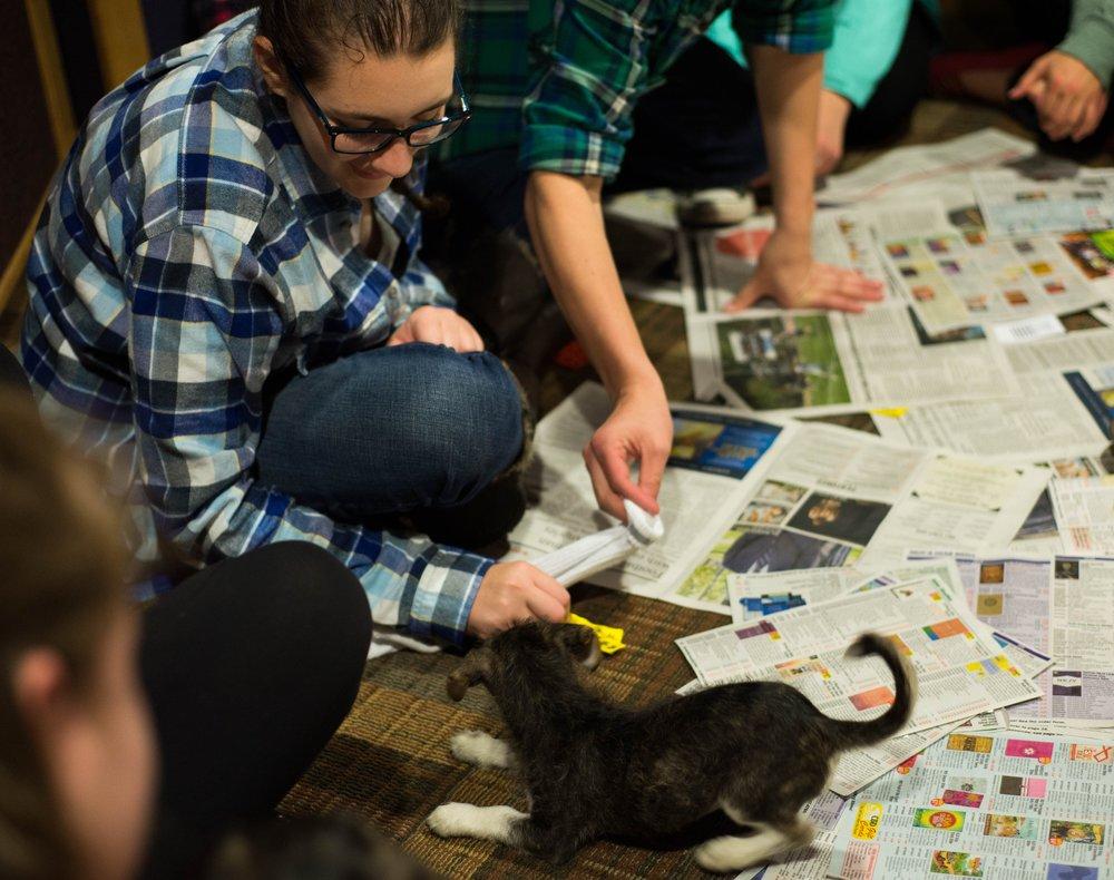 Annual Freshman Fall Fest attracts all grades