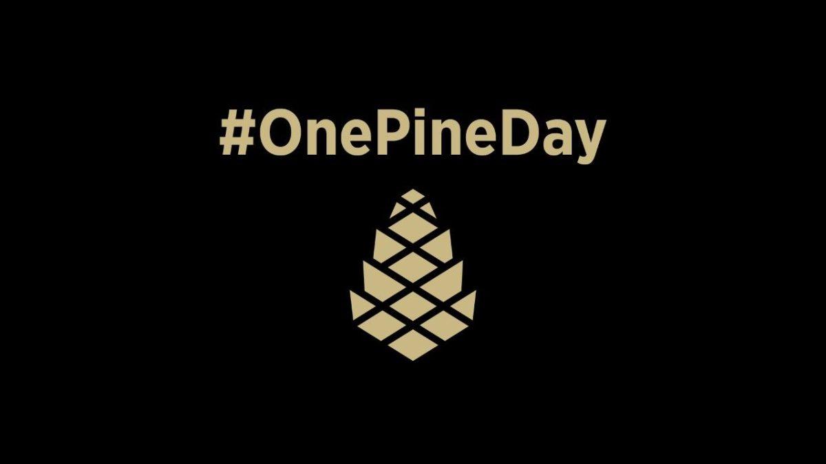 One Pine Day successfully crowdfunds special university projects for the eighth year running