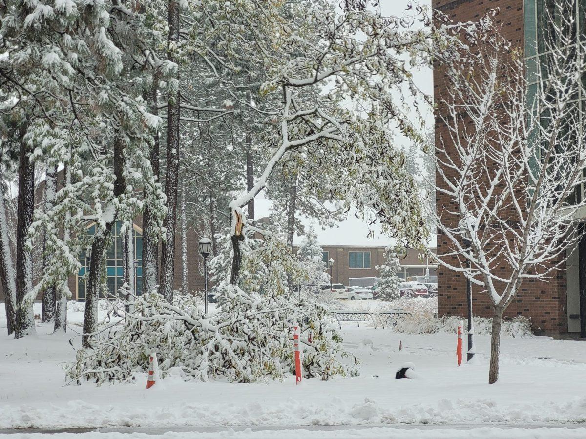 The impact of recent snow and wind on student safety