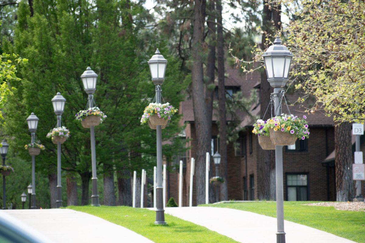 Hanging baskets at Whitworth University, Monday, May 13, 2024, in Spokane, Wash. | The Whitworthian/Madison Stoeckler