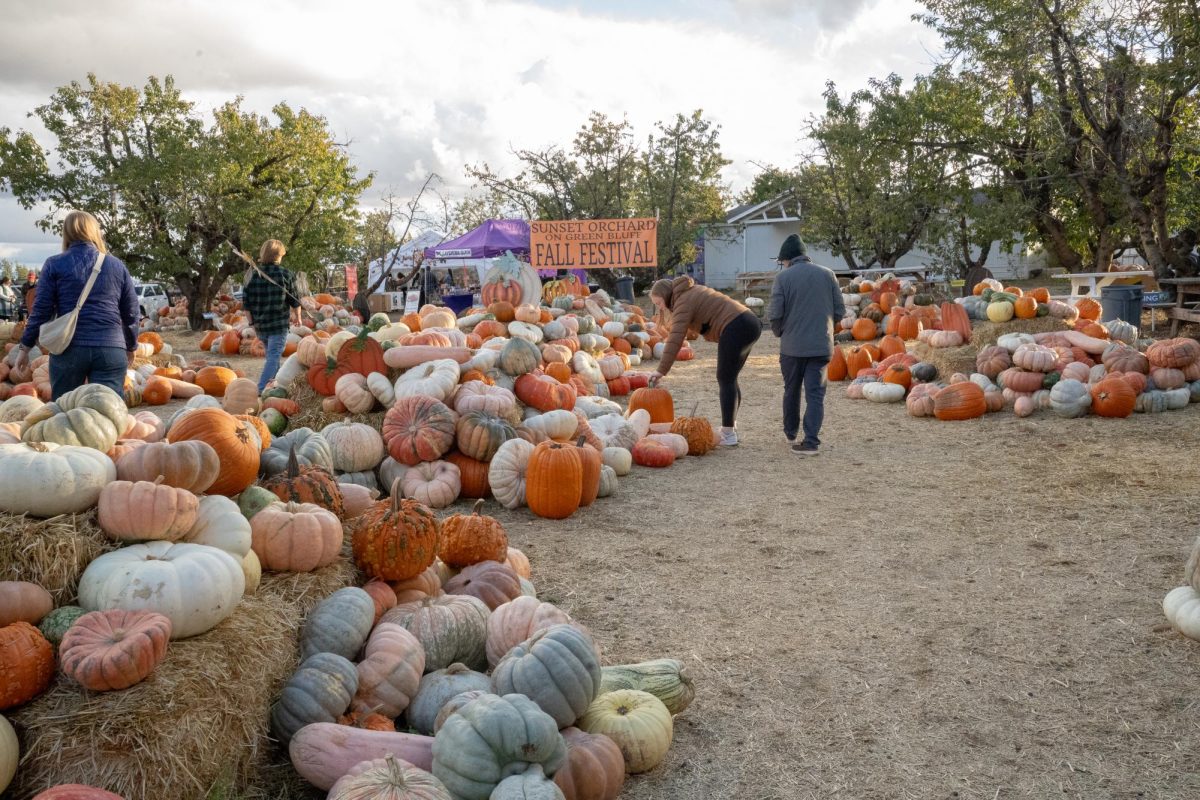 Sunset Orchard on Green Bluff's Fall Festival Sunday, Oct. 27, 2024, in Colbert, Wash. | The Whitworthian/Madison Stoeckler