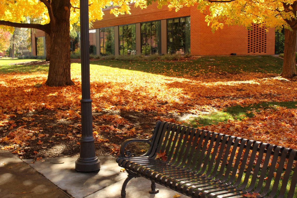 Fall foliage, Friday, Oct. 17, 2024, at Whitworth University in Spokane, Wash. | Alyssa Hammer/The Whitworthian