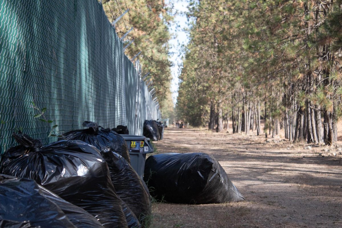 All the bags Whitworth students helped clean up for fire prevention for Community Building Day in Spokane, Wednesday, Sep. 25, 2024, in Spokane, Wash. | The Whitworthian/Abraham Santiago