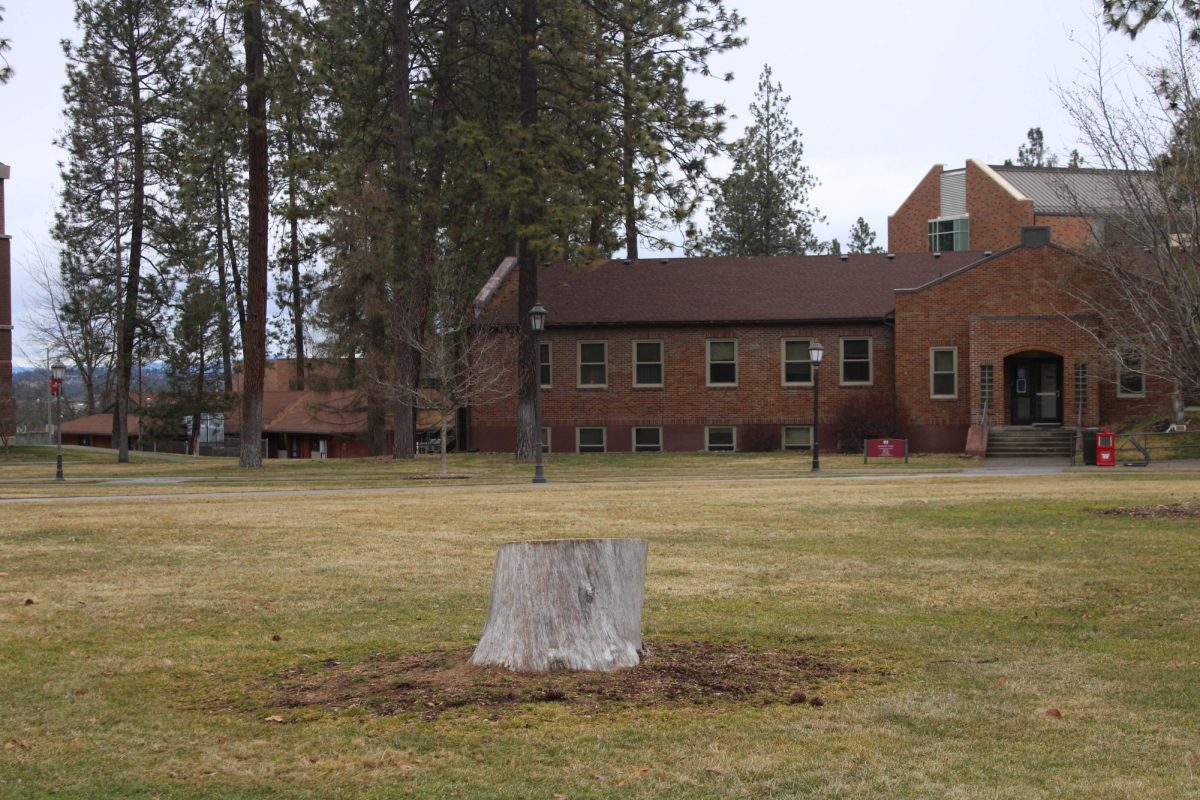 Lightning tree photographed in the Loop at Whitworth University, Monday, February 23, 2026, in Spokane, Wash. | The Whitworthian/Legend Isumu